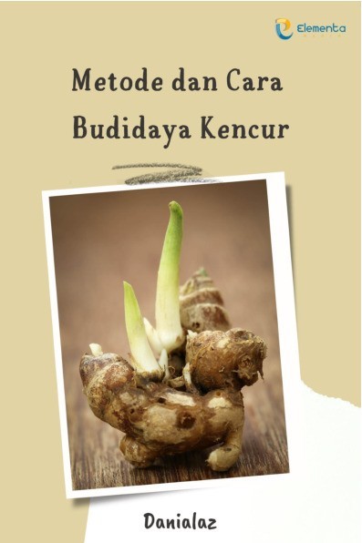 Metode dan Cara Budidaya Kencur